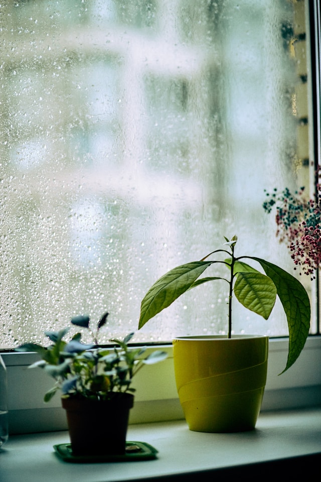 dana sarsenbekova hit46pbvvby unsplash